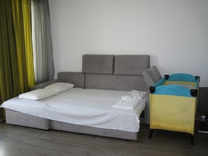 image preview