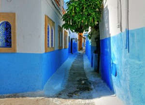 image preview