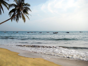 image preview