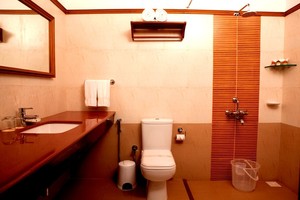 Deluxe Twin Villa image preview