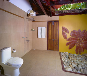 Superior Deluxe Villa image preview