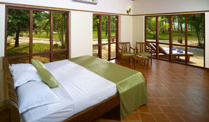 Superior Deluxe Villa image preview