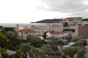 image preview