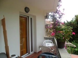 image preview