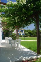 image preview