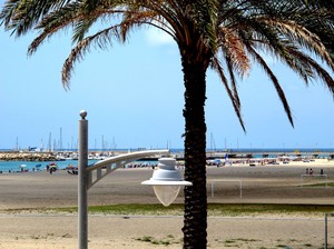 image preview