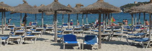 image preview