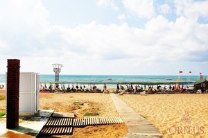 image preview