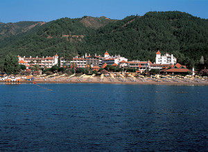image preview