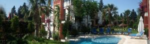 image preview