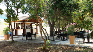 image preview