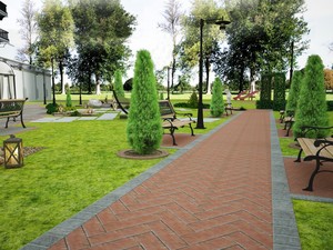 image preview