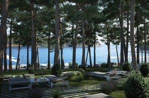 image preview
