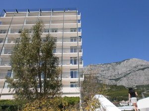image preview