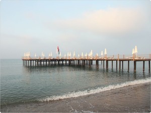 image preview