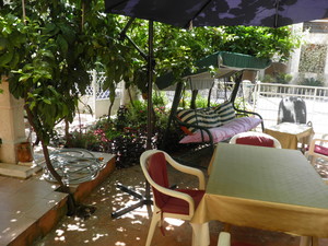 image preview