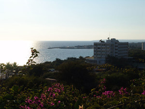 image preview