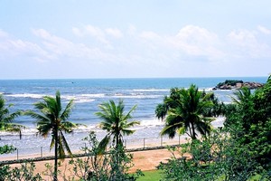image preview