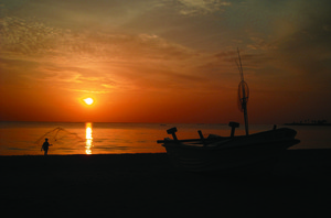 image preview
