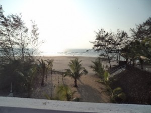 image preview
