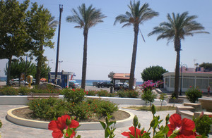 image preview