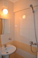 Standard Plus image preview