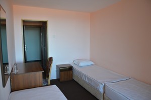 Standard Plus image preview