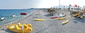image preview