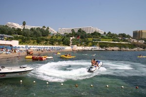 image preview