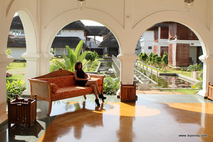 image preview