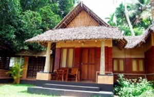Kings nest cottage