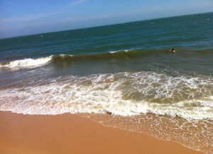image preview