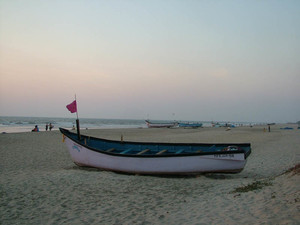 image preview