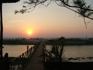 image preview