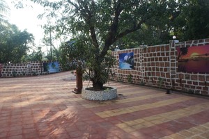 image preview