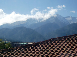 image preview