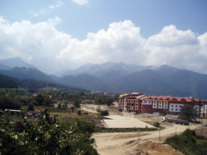 image preview