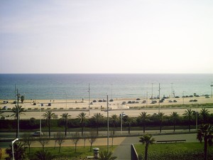 image preview
