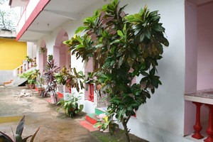 image preview