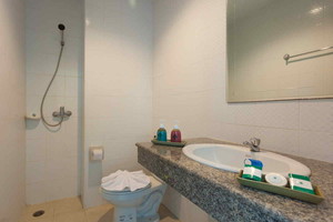 Standard image preview