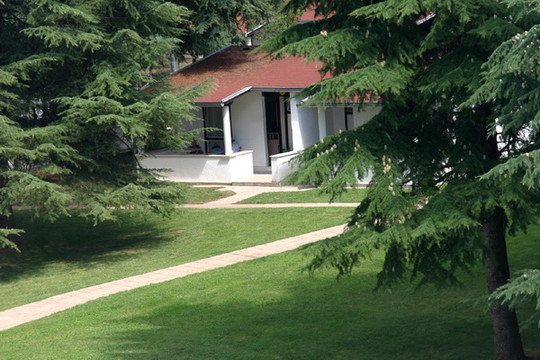 image preview