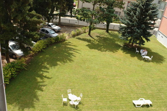 image preview