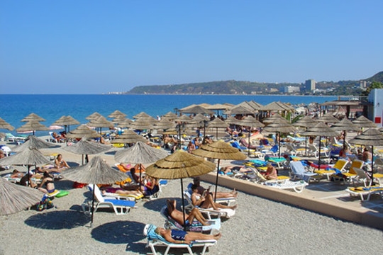 image preview
