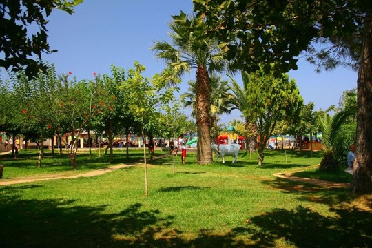 image preview