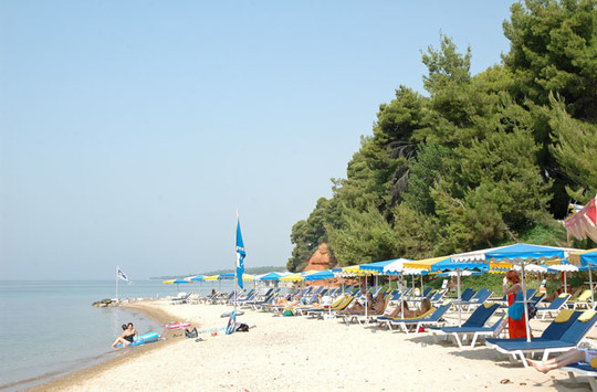 image preview