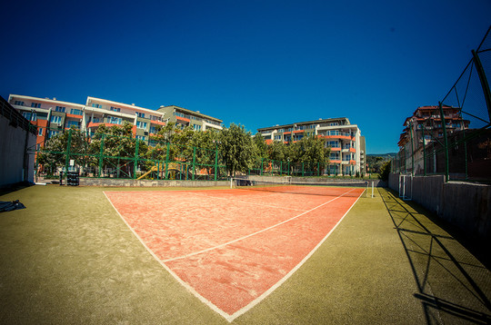 image preview