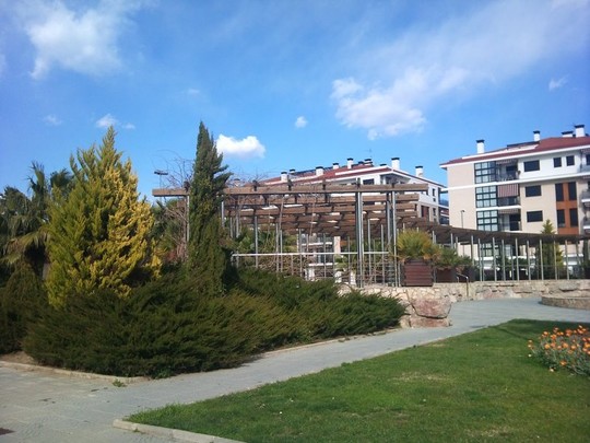 image preview