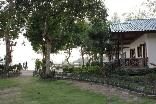 image preview