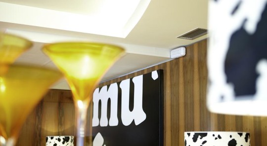 image preview