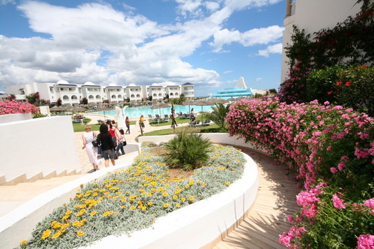 image preview